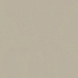 Acczent Platinium 100 Ground Beige