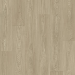 Acczent Essential Compact 80 Citizen Oak Plank Grege