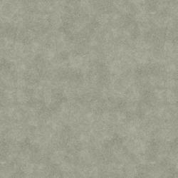 Afbeelding van vloersoort Caviar MISTY GREY 