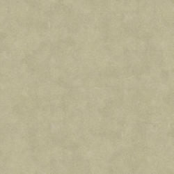 Afbeelding van vloersoort Caviar BEIGE 