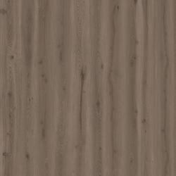 Afbeelding van vloersoort Forest Oak CLAY 