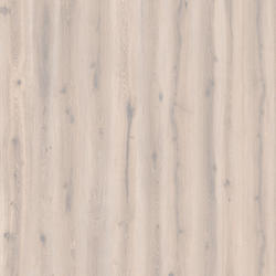 Afbeelding van vloersoort Forest Oak WHITE WASHED 
