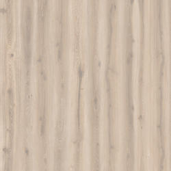 Afbeelding van vloersoort Forest Oak SOAPED 