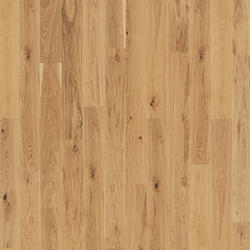 Product collection image