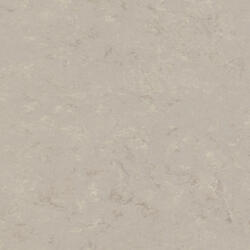 Product collection image
