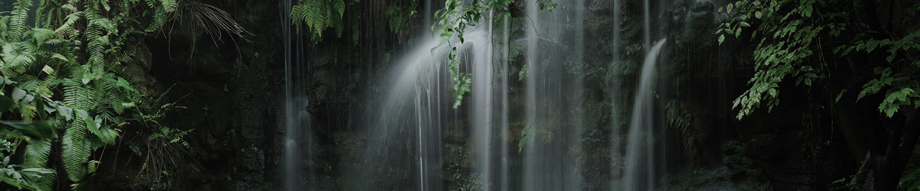 Η νέα προσέγγιση wetroom Aquasens για υγρούς χώρους προσφέρει μια αναζωογονητική εμπειρία 