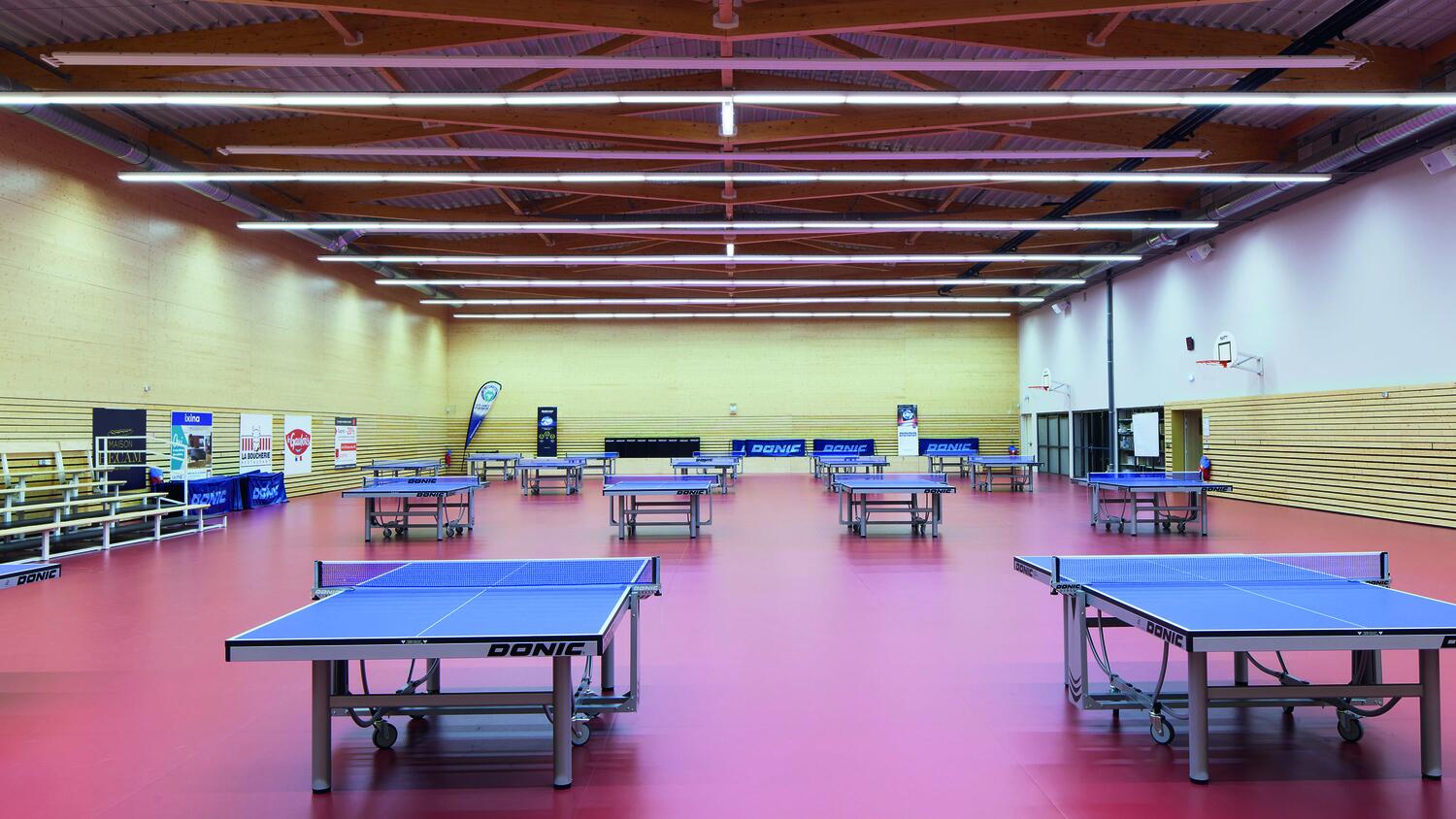 Omniplay Table Tennis Court Flooring