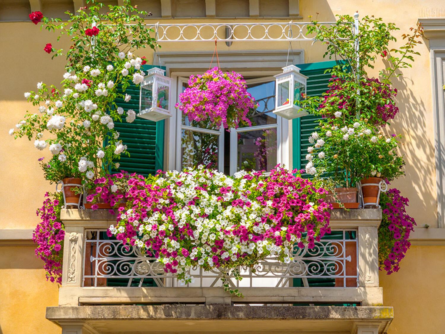  Balcon plin de ghivece cu flori colorate 