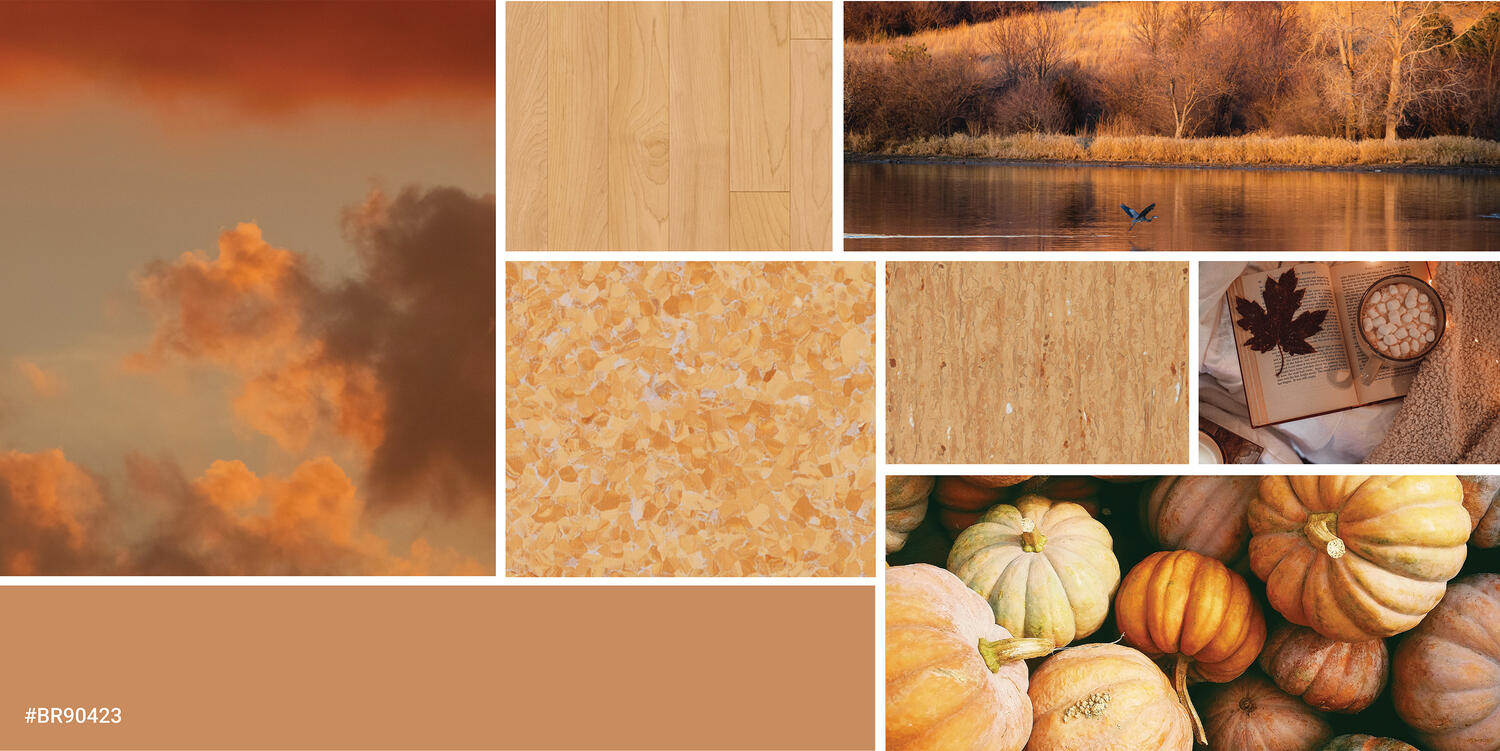 October - Color of the Month, Spiced Orange