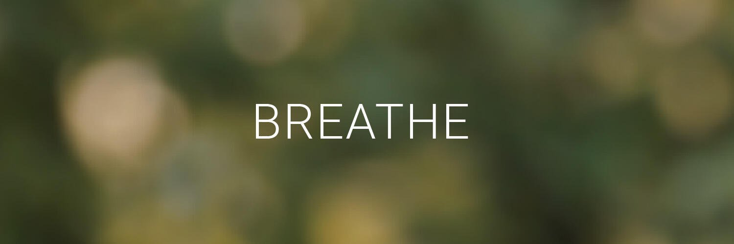 The word breathe in a natural space, showcasing how important air quality is for indoor spaces and for Tarkett's strategy