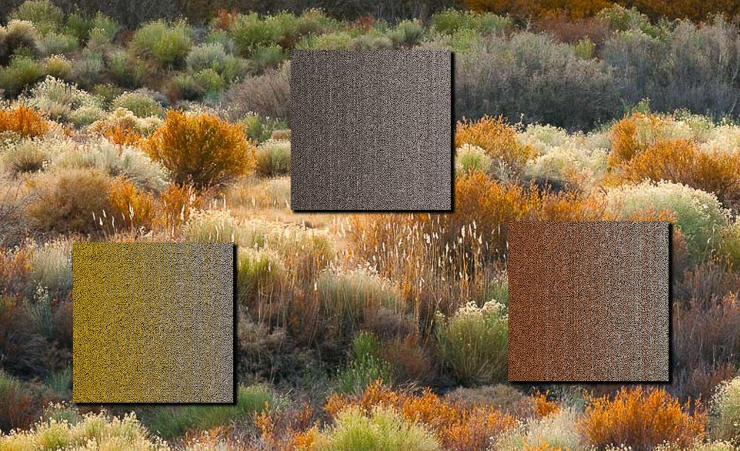 Collection de dalles de moquette inspirées de la nature DESSO Fuse Landscape