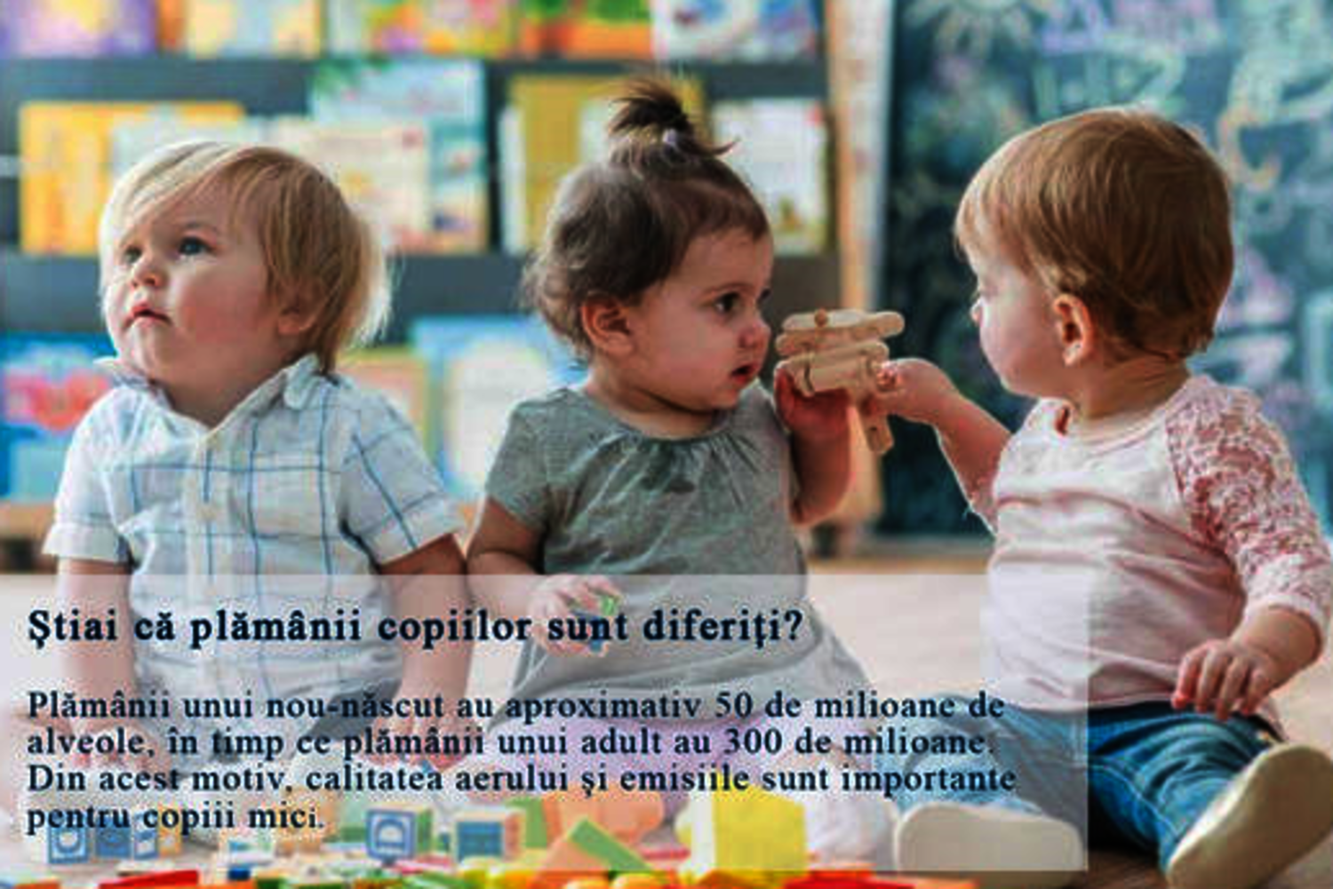 Cum contribuie pardoselile la un aer interior mai sănătos