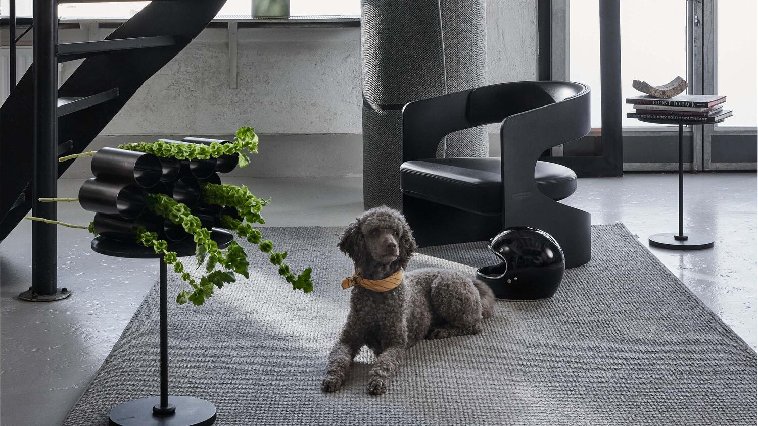 Interiörbild mattor