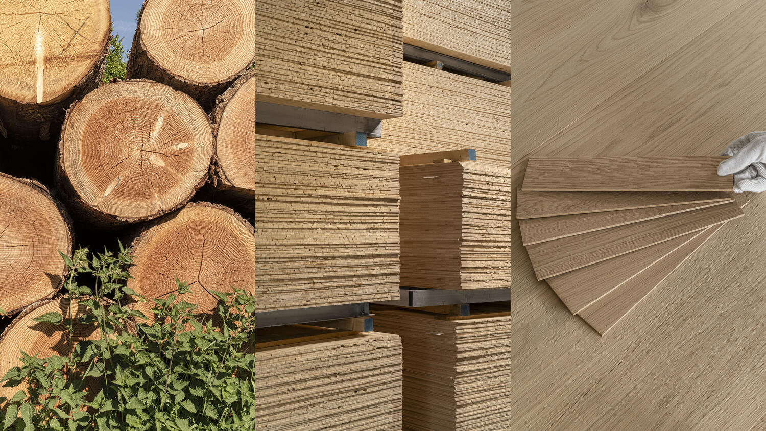 Serie av bilder av Hanaskogs träproduktion