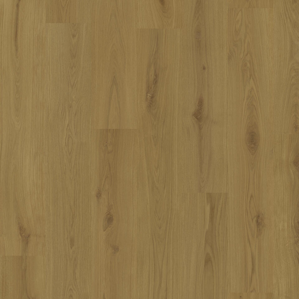 Lussari Oak BRUME