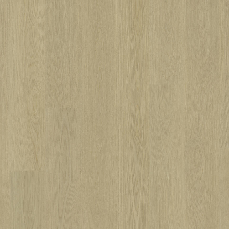 Parkway Oak EARTH