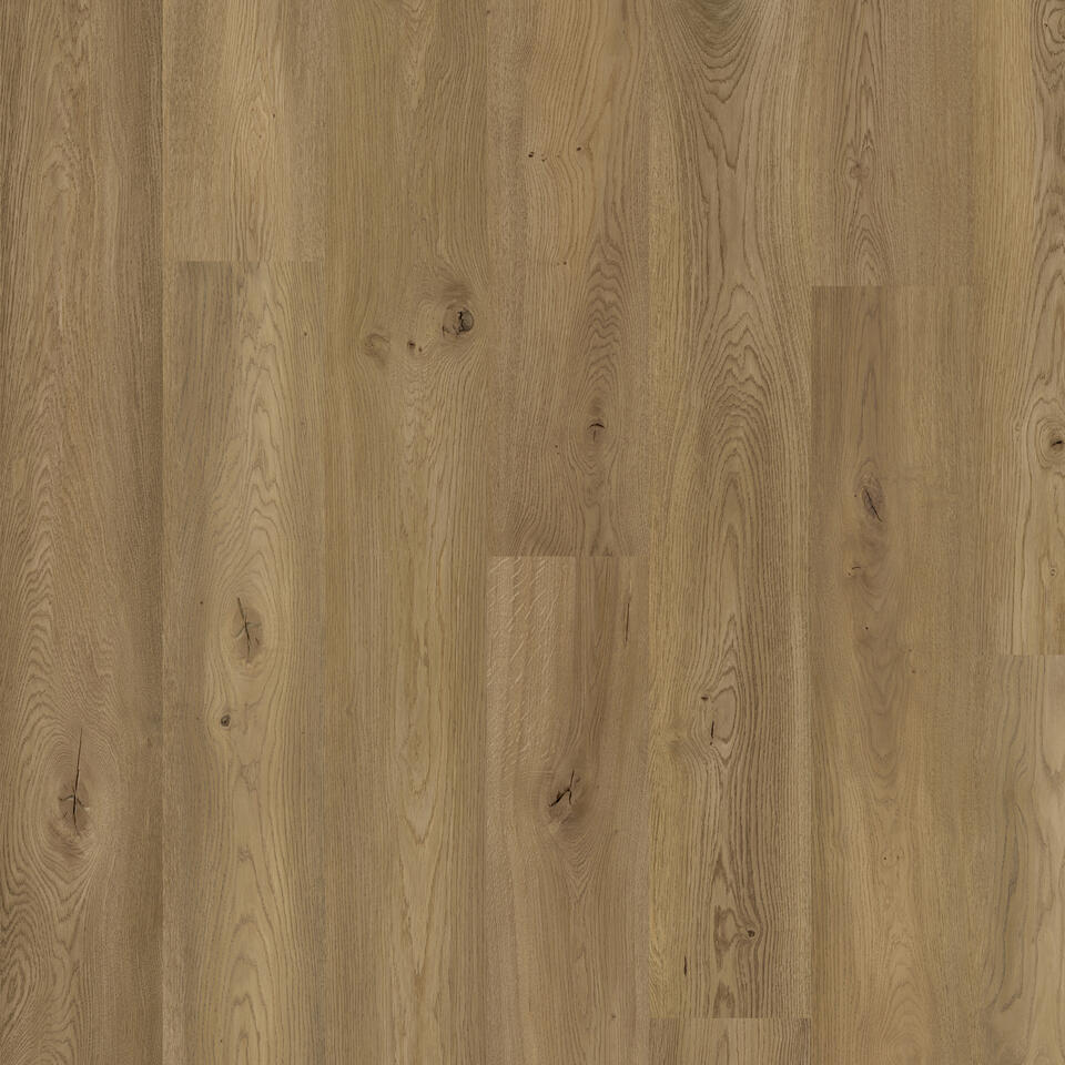 Super Oak OILED
