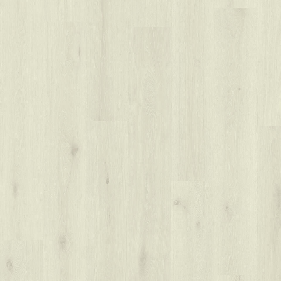 Welsh Oak COTTON