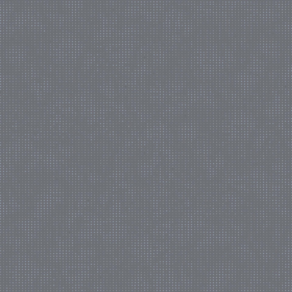 birdy grey ice blue