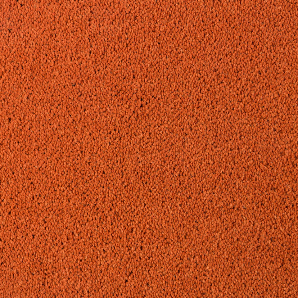 asteranne-a411-5101-asteranne-carpet-rolls