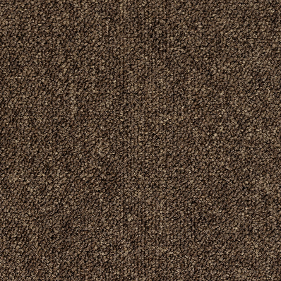 Essence A879 2051 Essence Broadloom Commercial Carpet Rolls