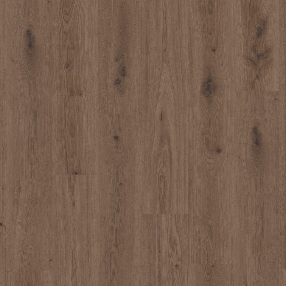 Delicate Oak Brown