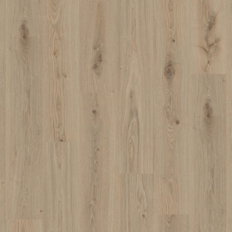 Delicate Oak Natural