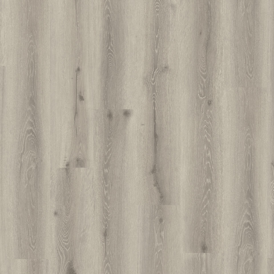 Limousin Oak Grege