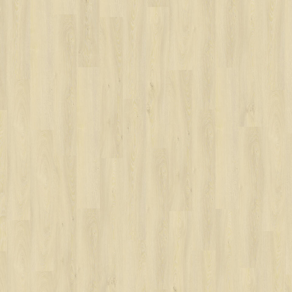 Modern Oak Light Natural