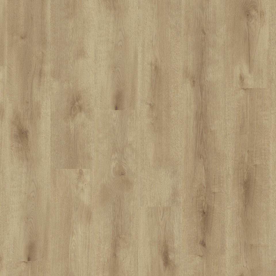 Season Oak Light Brown