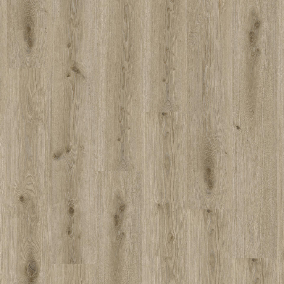 Tarkett Essence Rigid 30-55 — Delicate Oak LIGHT GREY