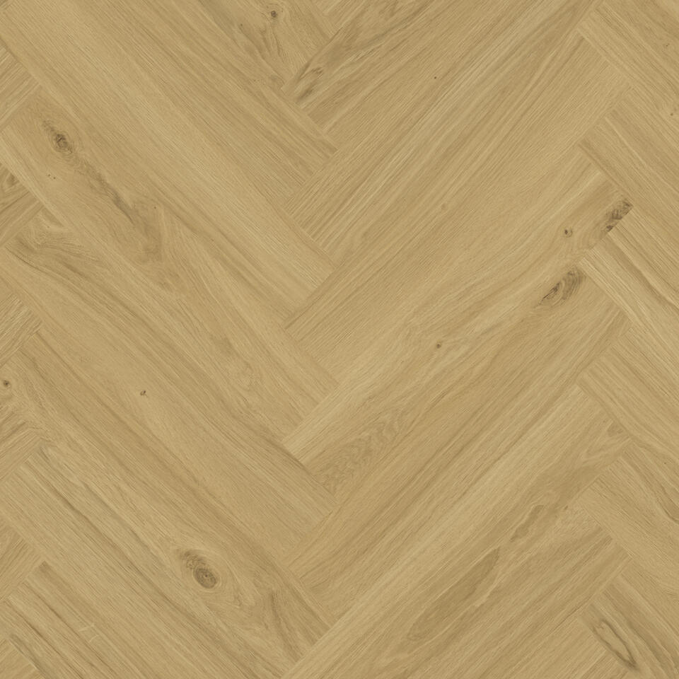 Tarkett iD Classics Glue-Down 55 — Country Oak HONEY C25-100-B01 — SKU 261016006