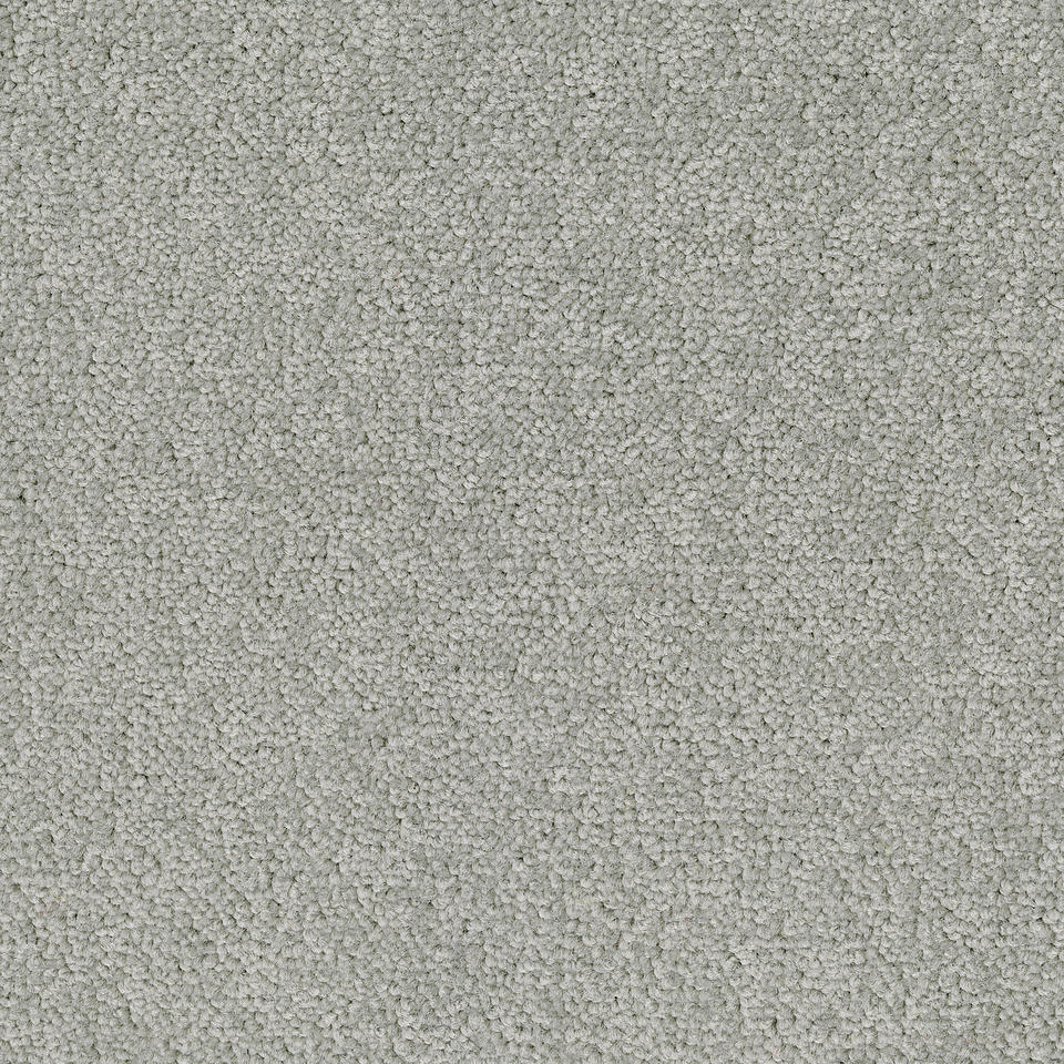 Palatino A996 1101 Palatino Broadloom Carpet Rolls