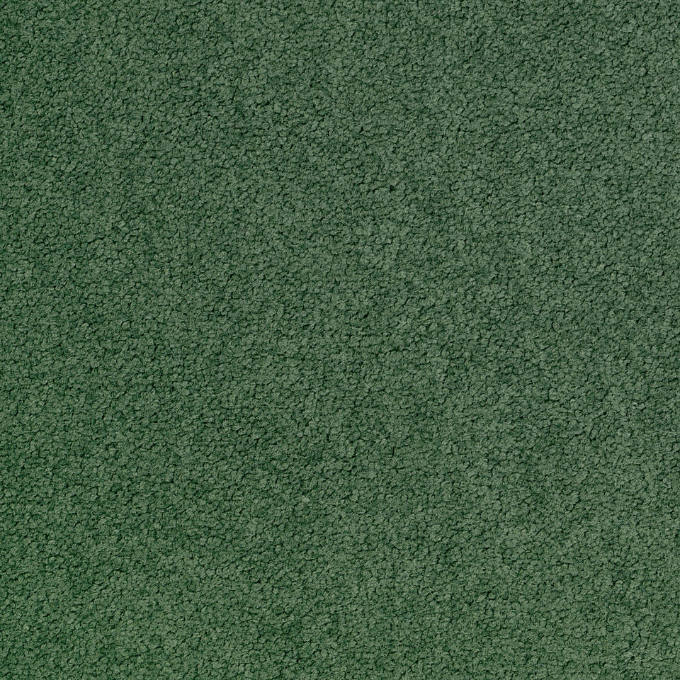 Palatino A996 7831 Palatino Broadloom Carpet Rolls