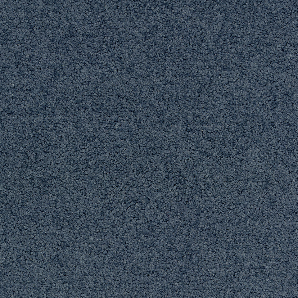 Palatino A996 8431 Palatino Broadloom Carpet Rolls