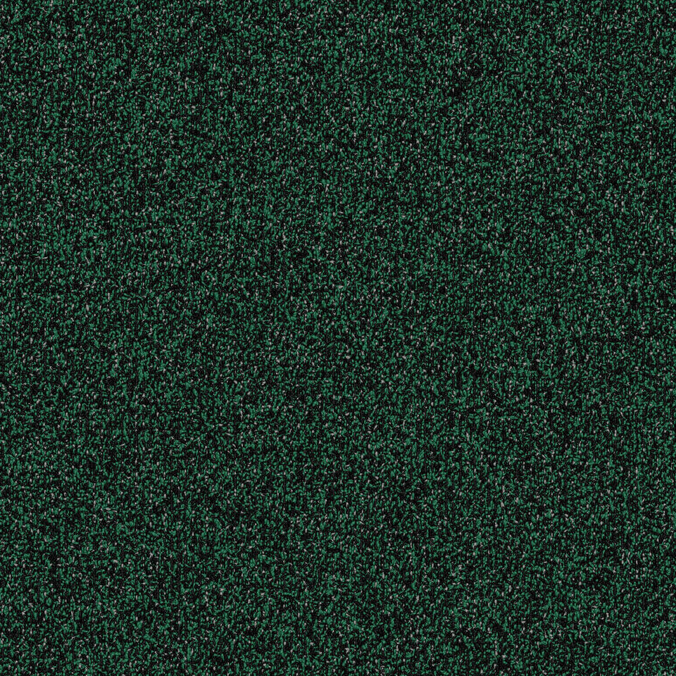 Abrasive Action II 02578 GERMINATE 19108 Abrasive Action II Modular Carpet