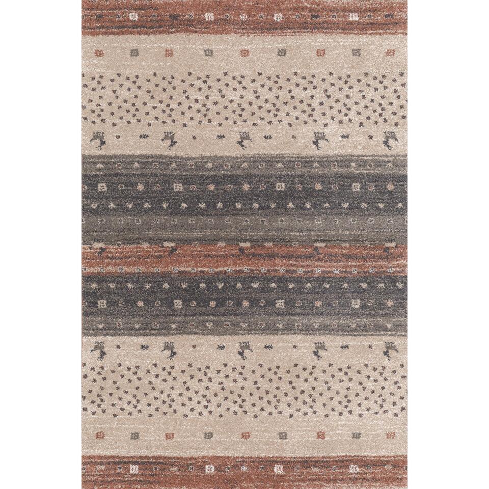 TORINO 13 EVH TORINO Rugs