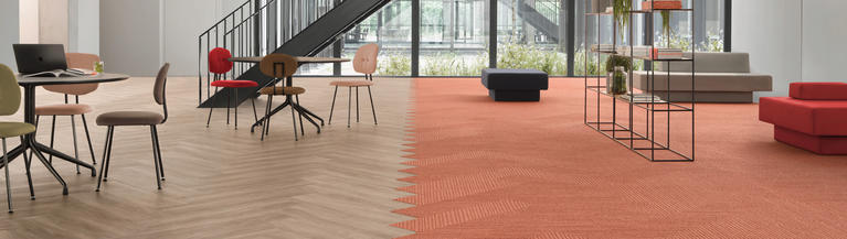 Onze nieuwste collecties