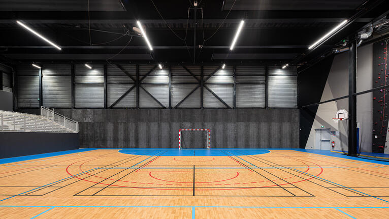 Indoor Home Gyms & Courts, Athletic Surfaces