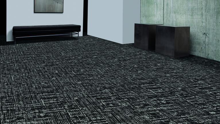 Collection Open Archive