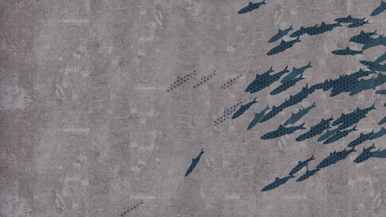 iD Supernature & Tattoo Concrete design customizable floors