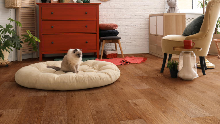 Бытовой линолеум