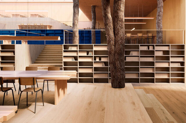 Sols en PVC effet parquet : presque indiscernable du vrai bois