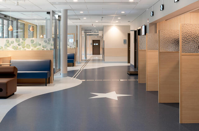 Blå Stjärnans Animal Hospital