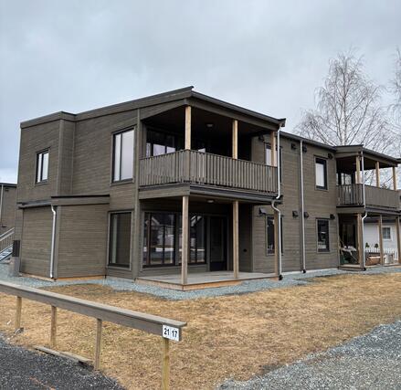 Moderne boliger med robuste og varige materialvalg