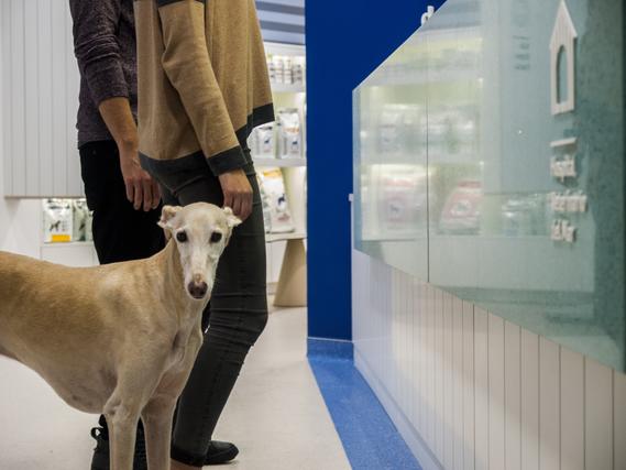 Nuevo Hospital Veterinario del Mar