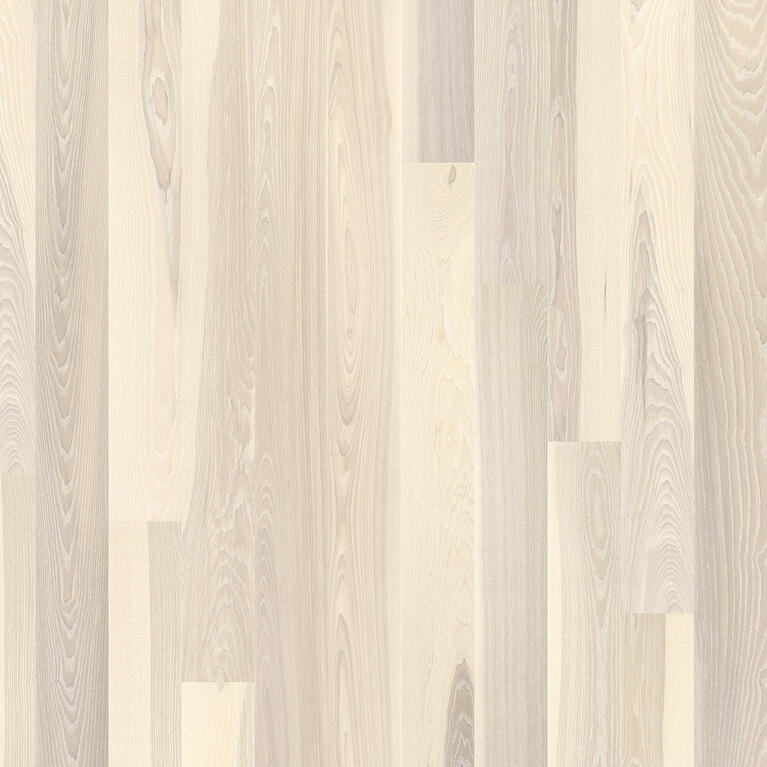 ASH SEASHELL (1-strip)