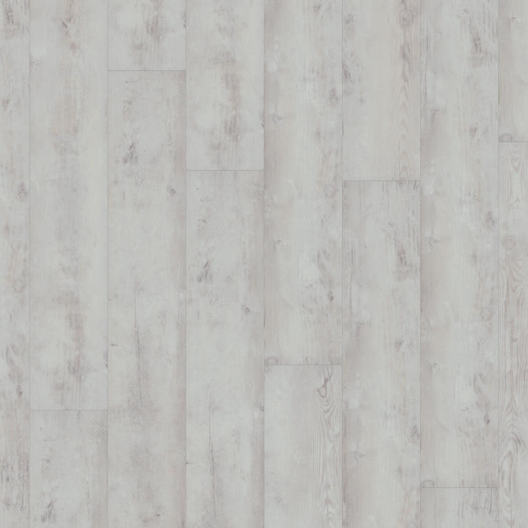 Bohemian Pine WHITE