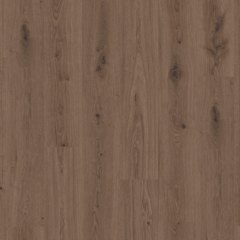 Delicate Oak BROWN