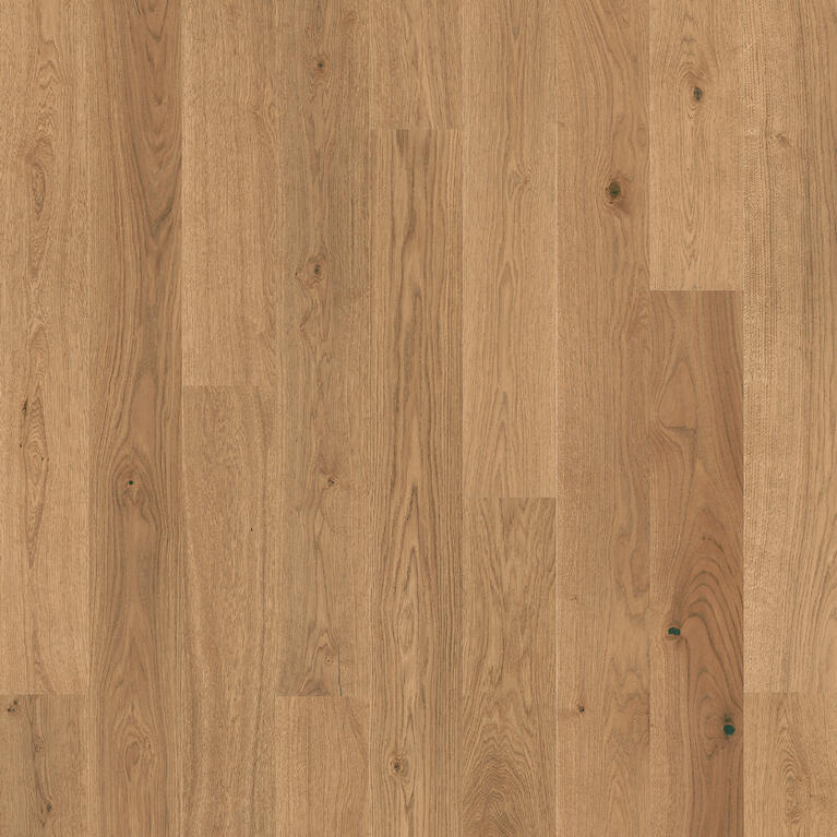 OAK NUTMEG PLANK XT (1-strip)